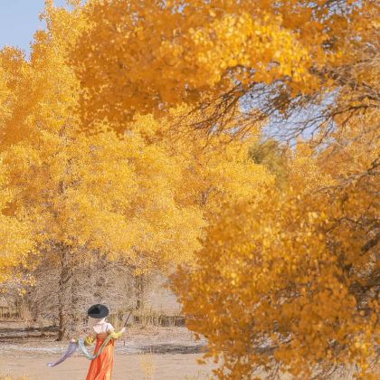 新疆南疆+喀什市8日7晚私家团