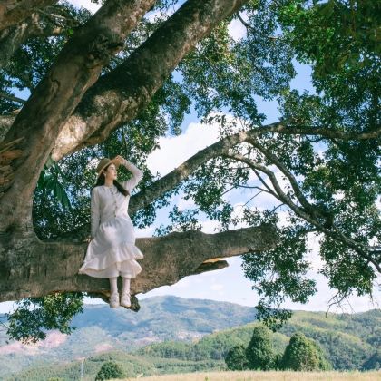 云南昆明+西双版纳+普洱8日7晚私家团