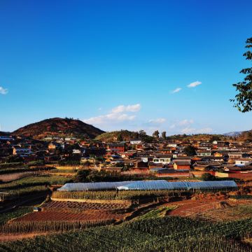 成都+乐山+西昌+攀枝花+四川泸沽湖9日8晚自由行