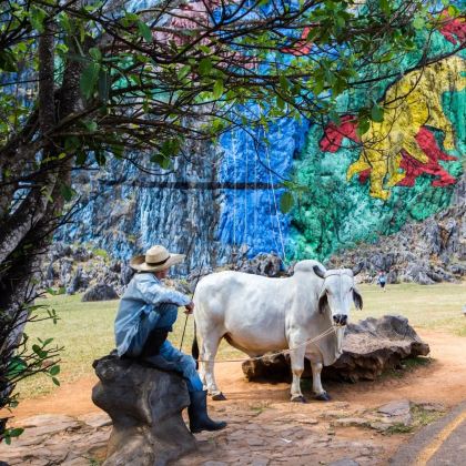 古巴哈瓦那+比尼亚莱斯山谷4日3晚私家团