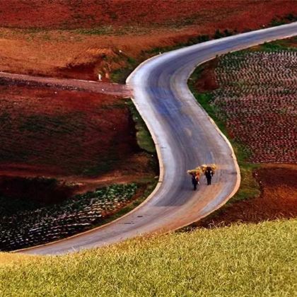 云南昆明+罗平+弥勒+普者黑景区+蒙自+元阳+建水+抚仙湖+元谋土林+东川红土地10日9晚拼小团