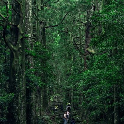 大阪府7日6晚私家团