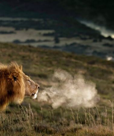 2D1N • 2 Day Addo Elephant Park Safari