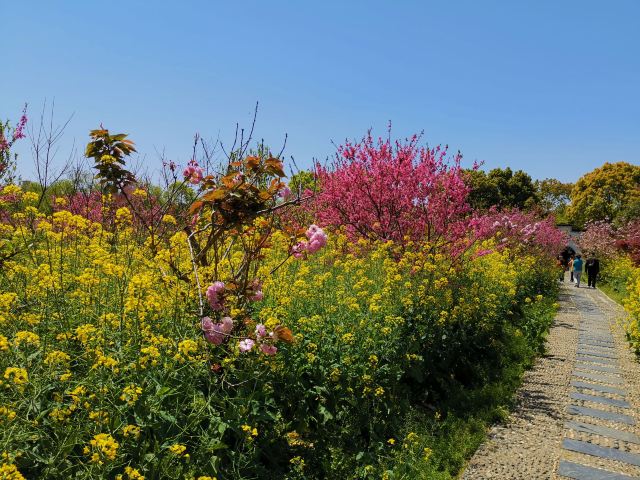上海南汇桃花村旅行图片 7