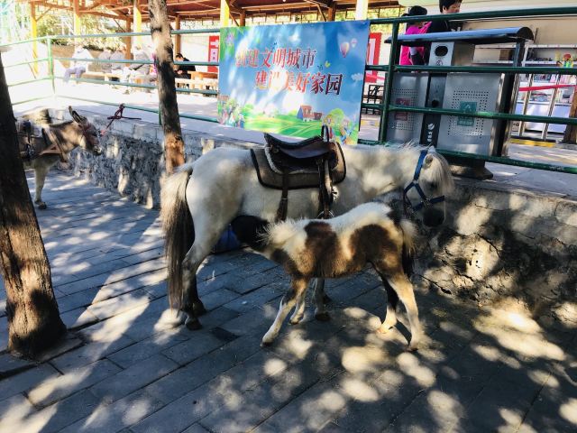 北京圣泉山旅游风景区旅行图片 2