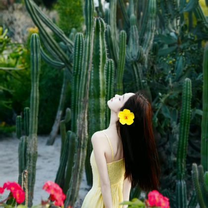 厦门3日2晚私家团