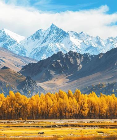 8D7N • Xinjiang + Northern Xinjiang + Kanas: 6-person small group, 1 + 1first-class seats & accommodation at three scenic areas