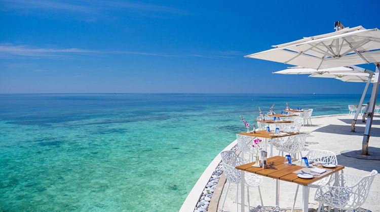 <5天>【馬爾代夫芙花芬島】·單酒店+暑假國慶+2023年翻新島+網紅蜜月小型島+水下SPA+拖尾沙灘+餵食魔鬼魚+4晚私人泳池別墅+早晚餐+快艇上島+管家式服務+明星大愛的島+浮潛A級+沙灘A級+中文服務+全島免費Wifi