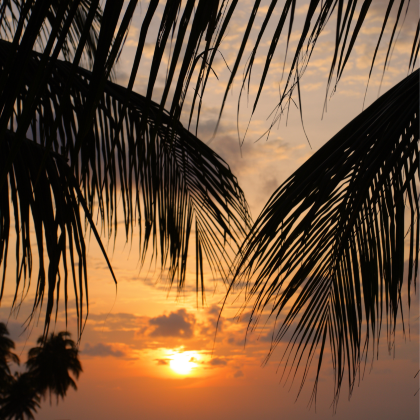 新加坡+刁曼岛6日5晚私家团