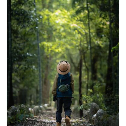 西双版纳+腾冲9日8晚私家团