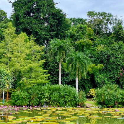 云南西双版纳6日5晚自由行