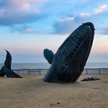 中国山东烟台+养马岛+孤独的鲸+时光塔3日2晚自由行