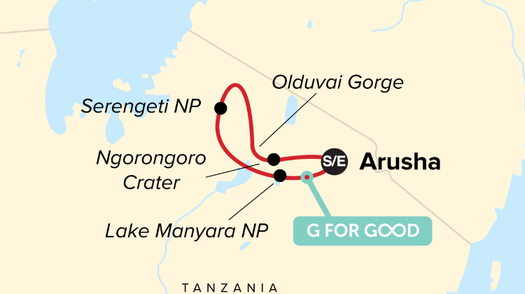 7-Day Tanzania Safari from Arusha·7-Seat 4×4 Game Drives in Serengeti & Ngorongoro Crater with a Safari Lodge Stay