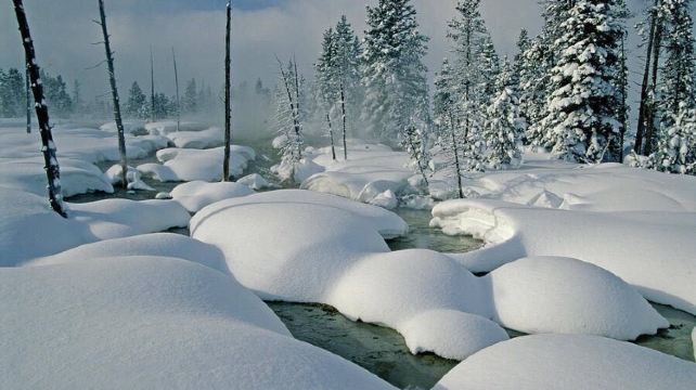 <5天>【13人小团|冬日限定|冷酷仙境】·冬季黄石国家公园:老忠实间歇泉+调色板+大提顿国家公园+杰克逊小镇+盐湖城精华游+可选雪王山庄雪上项目+含接送机(2人成行)