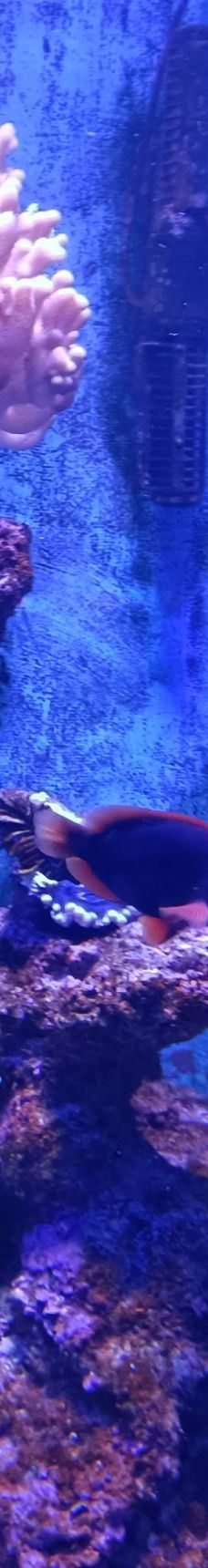 海趣花都海洋世界-昆明