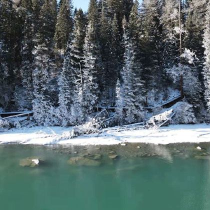 新疆乌鲁木齐+北疆+喀纳斯景区+禾木风景区7日6晚拼小团
