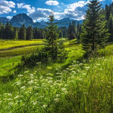 塞尔维亚+黑山+萨拉热窝7日6晚私家团