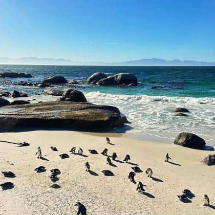 南非+乌干达+肯尼亚12日11晚私家团