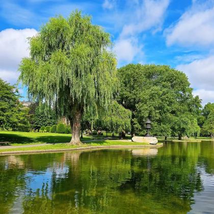 美国6日4晚私家团