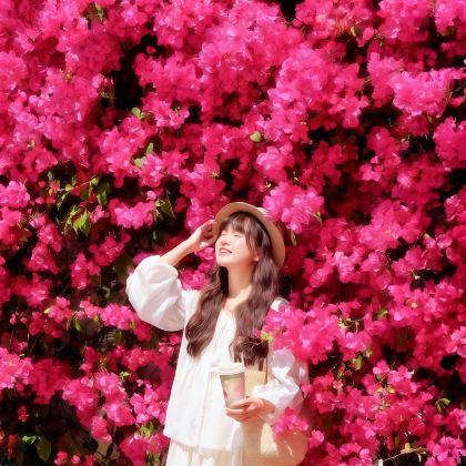 深圳+香港+澳门+珠海+佛山+广州5日4晚跟团游