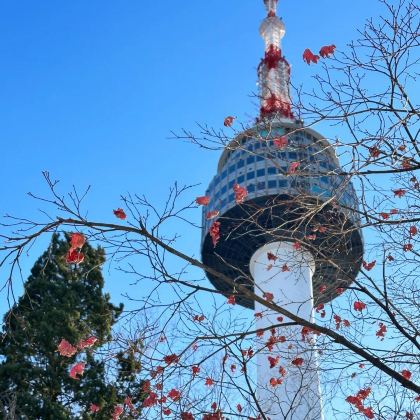 韩国5日4晚跟团游