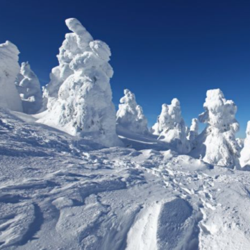 日本仙台+青森+弘前市6日5晚私家团