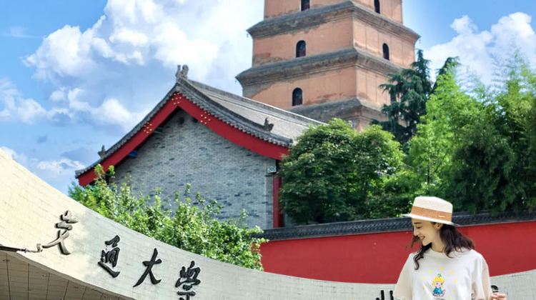 <5天>【西安兵马俑+华清宫+西安城墙+大唐不夜城+钟鼓楼广场+永兴坊】·9人小团+解锁亲子时光丨兵马俑含讲解丨西安交大巡礼丨自然博物馆或西影电影博物馆
