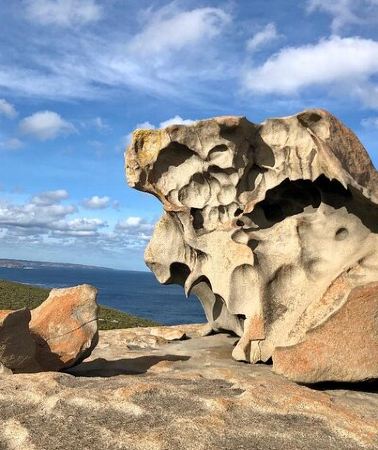 2D1N • Small Group Kangaroo Island Tour - Best of KI in 2 Days
