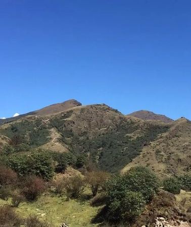 8D7N • Trek from Kathmandu to Pikey Peak