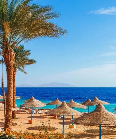 2D1N • Luxor:  Egypt Sharm El Sheikh + Dahab Blue Hole Snorkeling + Coloured Canyon + Sharm El Sheikh Desert Adventure + Ras Mohammed National Park
