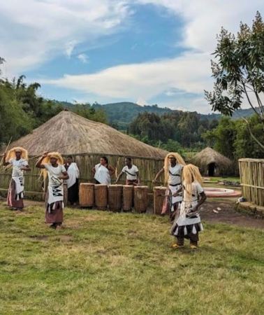 2D1N • From Kigali: 2-Day Gorilla Trekking & Cultural Tour