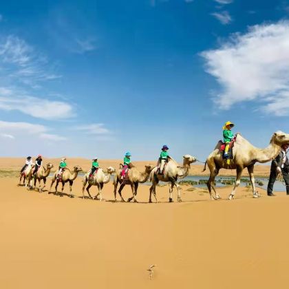 户外活动·露营【五一沙漠之旅】呼和浩特4日亲子营|领略库布齐豪情，刺激滑沙、冲浪车！徒步+露营+植树+骑骆驼，尽享沙漠独特体验！