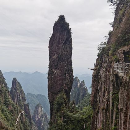 长沙+高椅岭旅游区+东江湖旅游区+莽山国家森林公园5日4晚跟团游