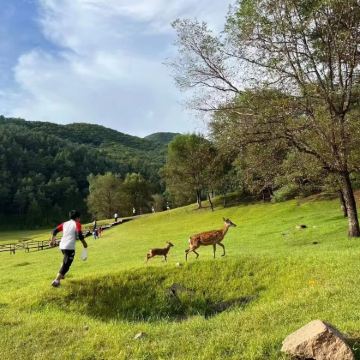 哈尔滨+齐齐哈尔+五大连池市+伊春+大庆8日7晚自由行