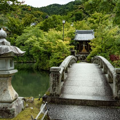 日本大阪+德岛县+香川县+冈山+神户+京都7日6晚私家团