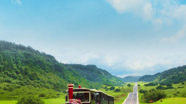 2-Day Chongqing City Highlights Private Tour·Ciqikou, Liziba Station, Hongya Cave, Three Natural Bridges and Fairy Mountain