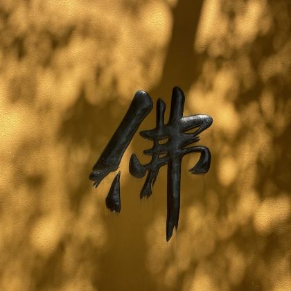 普陀山2日1晚私家团