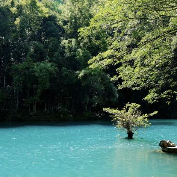 贵州贵阳+黄果树景区+荔波+西江千户苗寨5日4晚跟团游