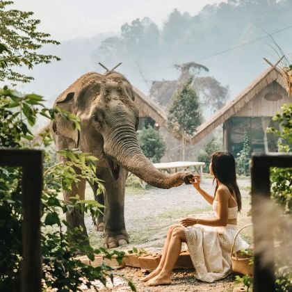 泰国曼谷+普吉岛7日6晚私家团