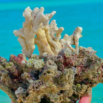 三亚+西沙群岛+南山+大小洞天6日5晚私家团