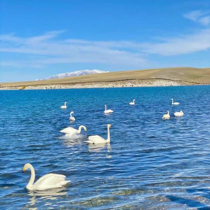 深圳+广州+韶山13日12晚跟团游