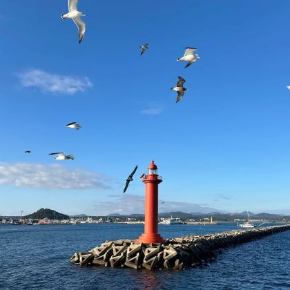 济州岛3日2晚私家团