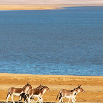 西藏阿里+拉萨+冈仁波齐+珠峰大本营13日12晚私家团