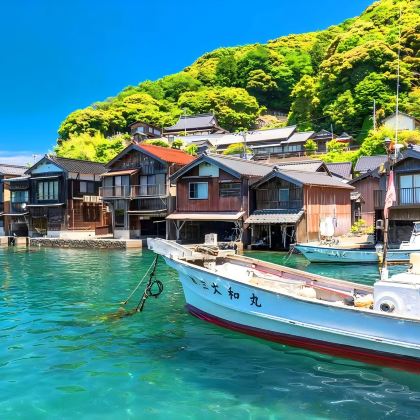 日本大阪+京都+金阁寺+清水寺+贵船神社+岚山+奈良+天桥立+伊根的舟屋+平等院8日7晚跟团游