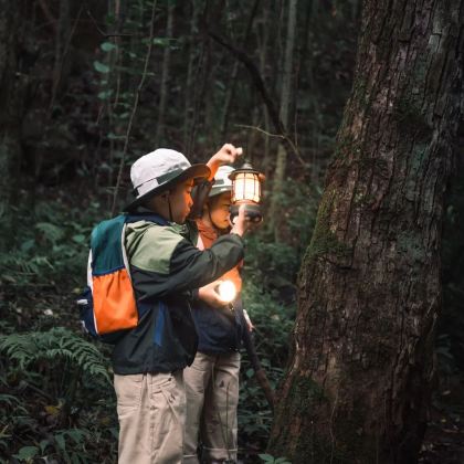 普洱+西双版纳+景迈山5日4晚私家团