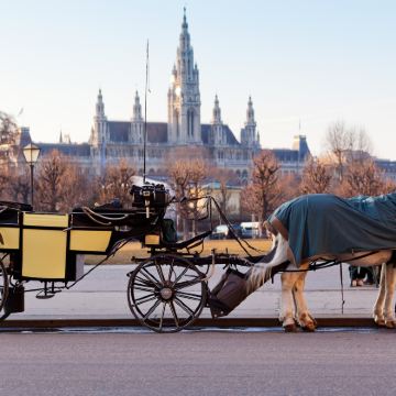 捷克+奥地利11日跟团游
