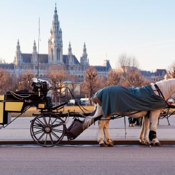 捷克+奥地利11日跟团游