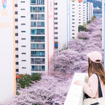 韩国首尔+釜山6日5晚私家团