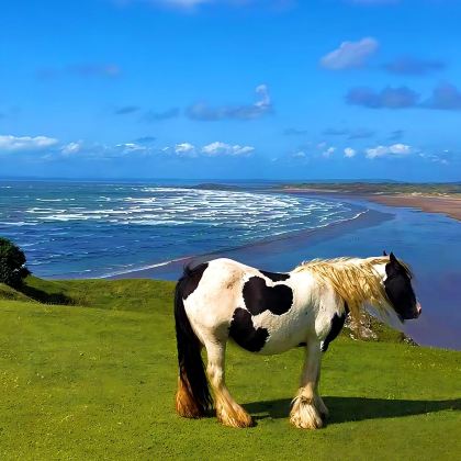 英国伦敦+卡迪夫+斯旺西+彭布罗克郡海岸线国家公园+牛津8日7晚私家团