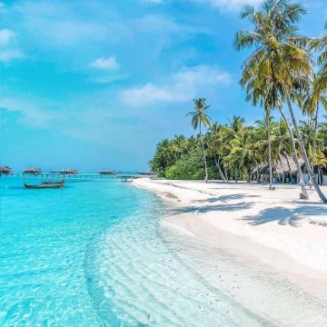 青岛+日照+莒县8日7晚私家团